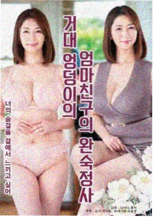 南风知我意 都市情感剧 在线看免费